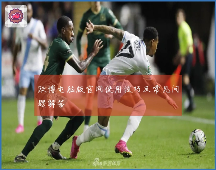 欧博电脑版官网使用技巧及常见问题解答