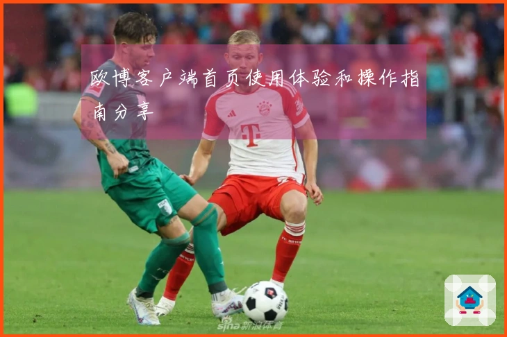 欧博客户端首页使用体验和操作指南分享