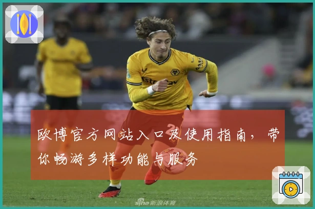 欧博官方网站入口及使用指南,带你畅游多样功能与服务